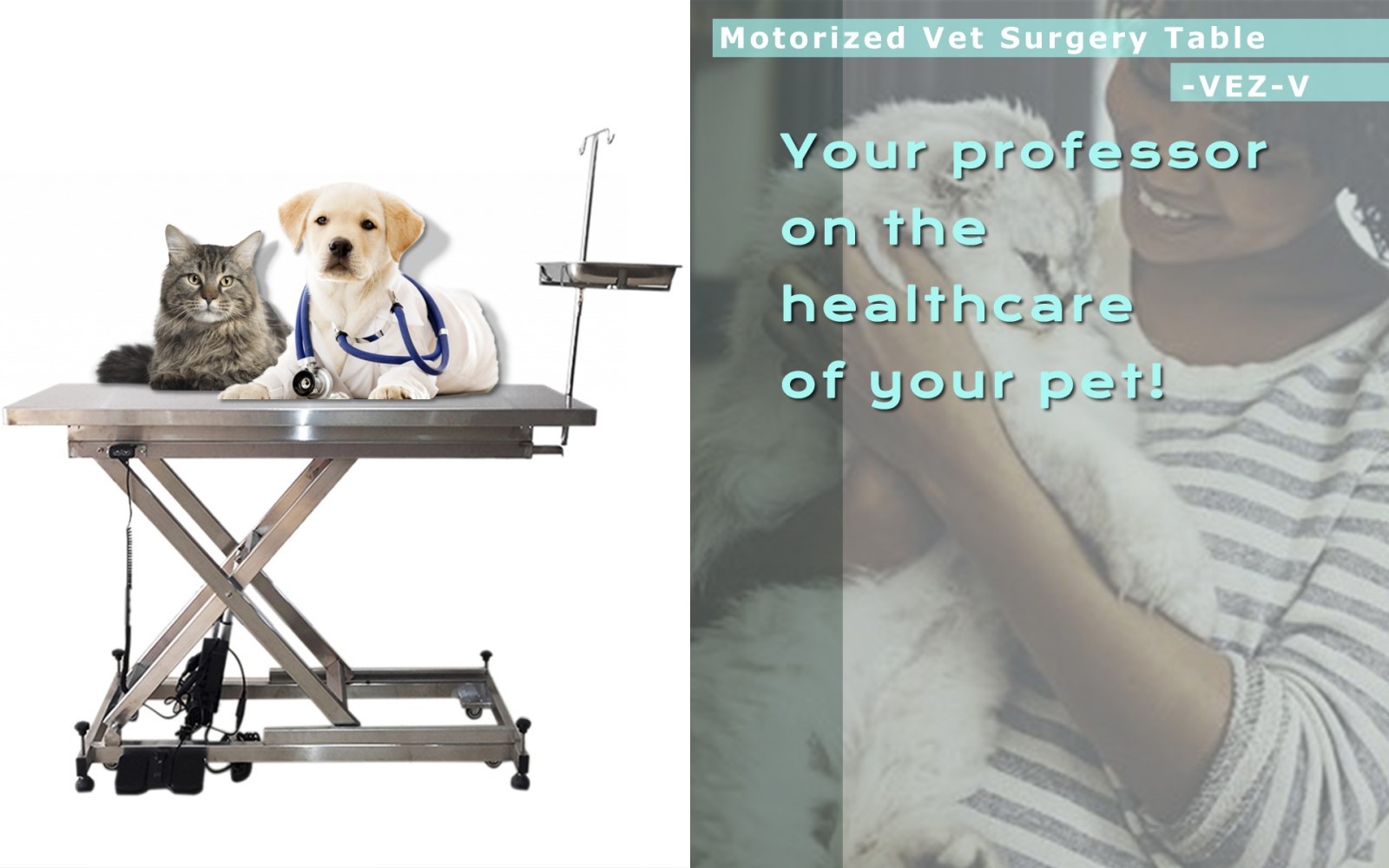 electricvettable