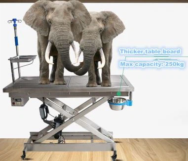 Veterinary Surgery Table